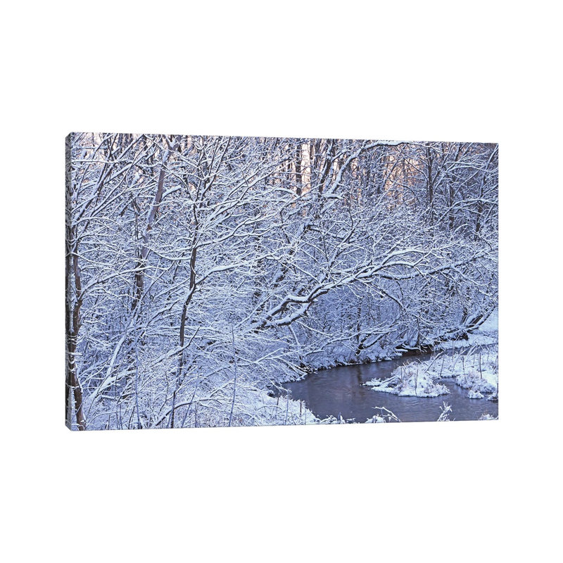 Covered In White by Brian Wolf - Wrapped Canvas Print, 20.32cm H x 30.48cm W x 1.91cm D