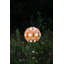 Lanterne solaire 12 po Stella-108587241