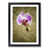 Black Framed selected