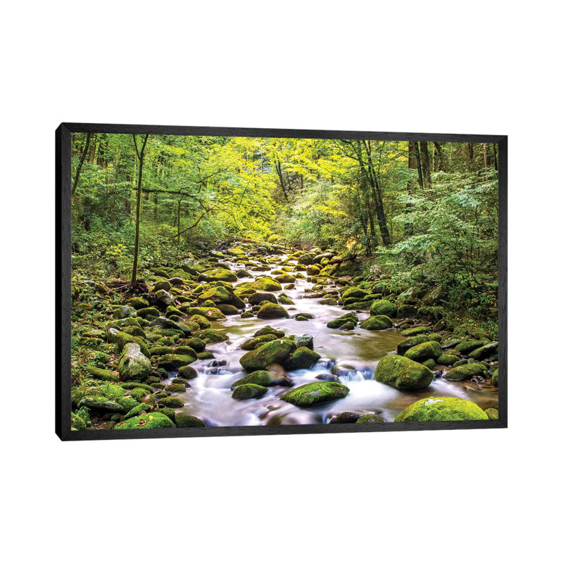 Creek Running Through Roaring Fork In Smoky Mountains by Susan Schmitz - Print on Canvas, Black Floater Framed