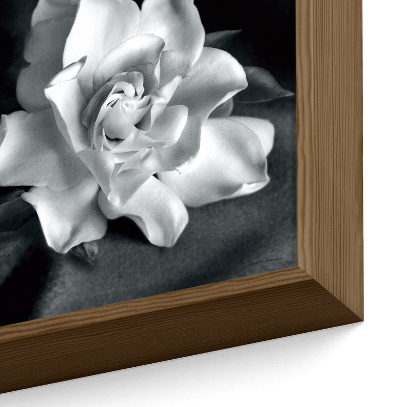 "Gardenia" par Debra VanS vêtementsingen, photographie de fleur sur toile tendue, H 14 po x l 14 po x P 2 po, Noyer