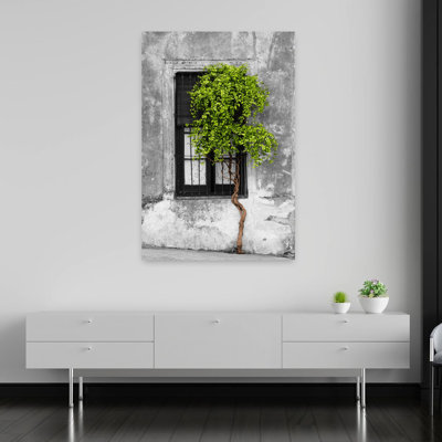 Green colour Pop Tree in front of the window of a house Calle San Jose Colonia Del Sacramento Uruguay 1 Piece Wrapped Canvas Wall Art