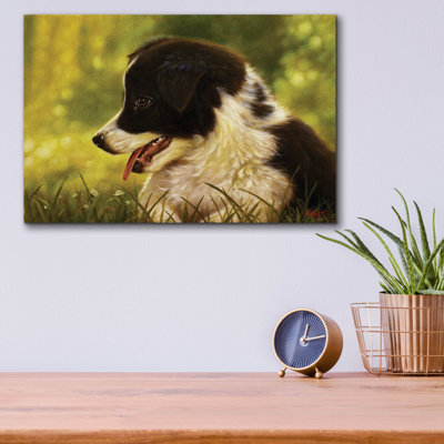 «Border Collie Garden» par John Silver
