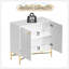 Armoire d'appoint 2 portes