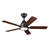 44'' Ceiling Fan with LED Lights-970429361