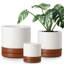 FLHPOT Ceramic Pot Planter-1957853568