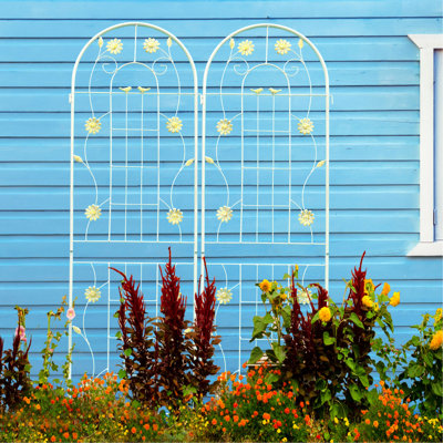 71" X 19.7" Metal Garden Trellises 2 Pack, Cream White Rust For Outdoor, Easy To Build, Material, Climbing Plants Such As Ivy Vines, Cucumber, Grapevine Trellis Outdoor Rustproof Plants, Simple