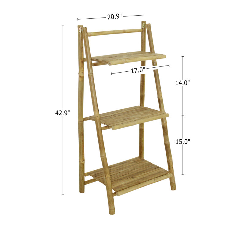 Ladder Bookcase
