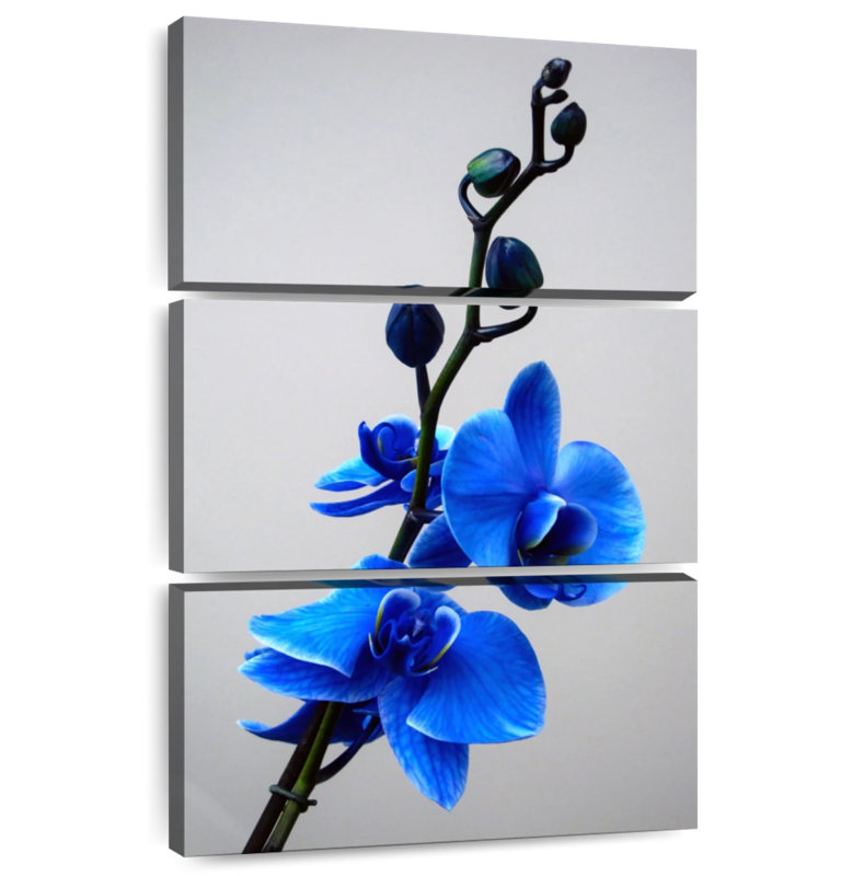 Harnek Blossoming Blue Orchid, 65" H x 42" W