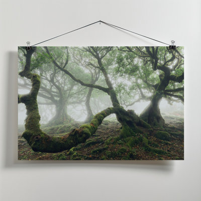 Wrapped Canvas Print