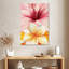 Hibiscus et fleurs de plumeria Harnek-108240054