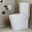 Toilette allongée une pièce à double tourbillon 1,1 / 1,6 gallons St. Tropez-130451359-130451361