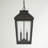 Mayhugh 4 - Light Outdoor Hanging Lantern