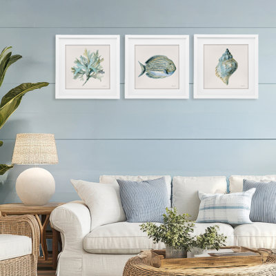 Ensemble de 3 impressions encadrées sous verre Coastal Bliss Sea Life, design par Danhui Nai