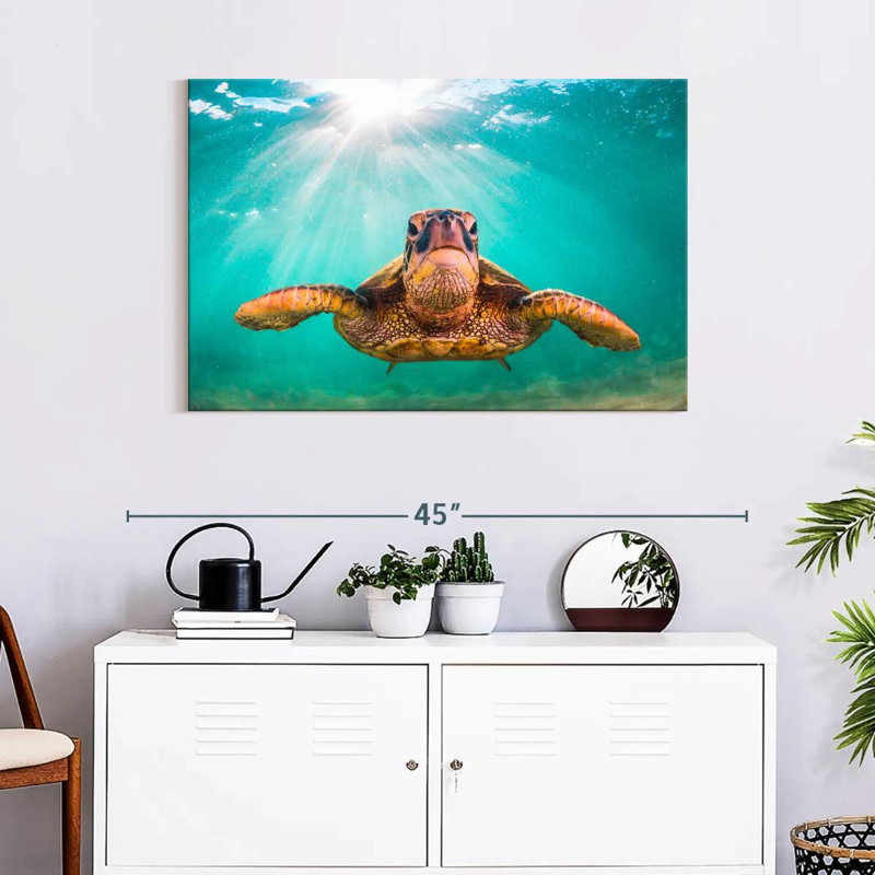 Tortue verte de Maui sur toile, H 24 po x l 36 po x P 1,25 po