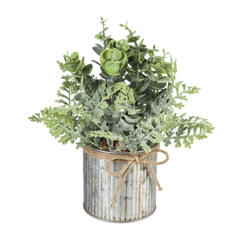 Plante eucalyptus artificielle 5 po en pot