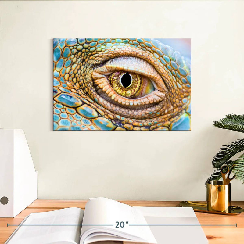 Crowle Iguana Eye