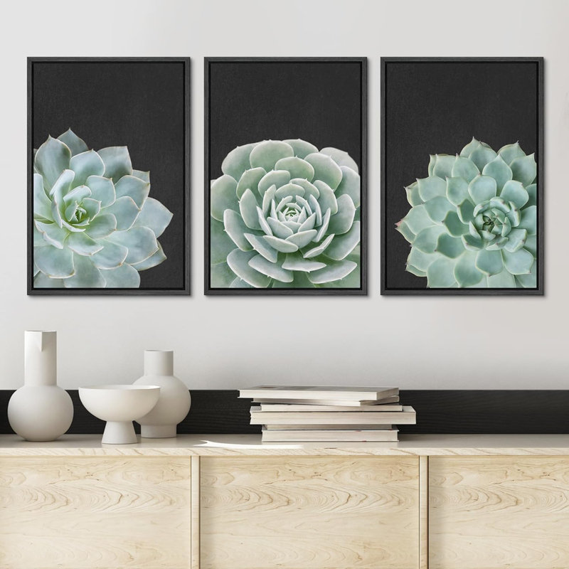 Green Desert Rose Cactus Succulents 3 pièces, Noir, H 36 po x l 24 po x P 1,5 po