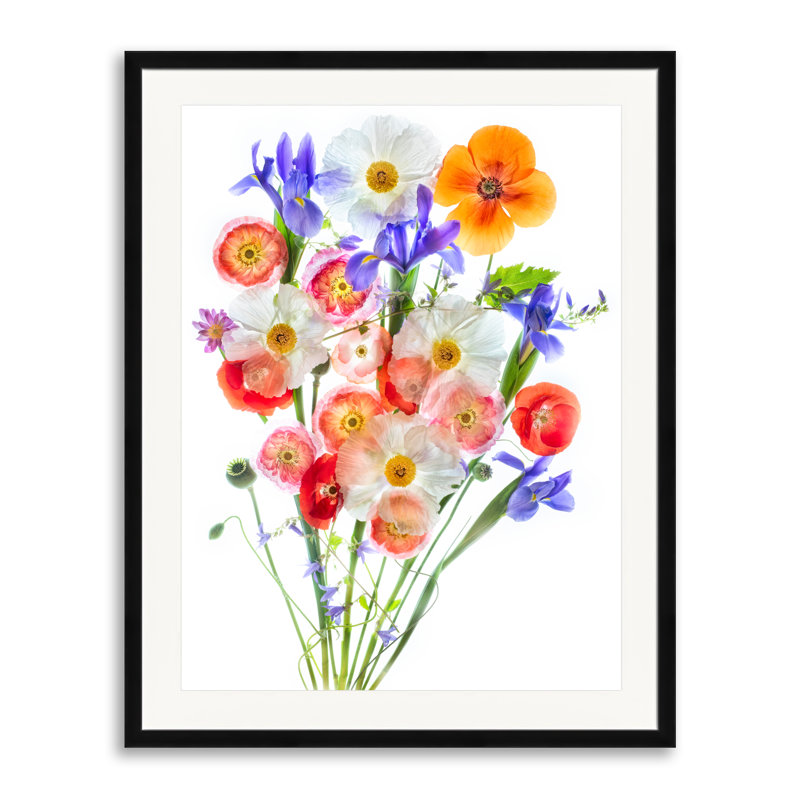 «Let Poppies Reign Forever» par Harold Davis, H 31,2 po x l 25,2 po, Papier avec cadre noir