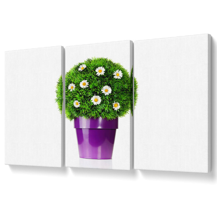 Ebern Designs White Daisy Pot - 3 Piece Wrapped Canvas Print | Wayfair ...