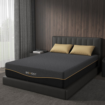Memory Foam With Comfort For Pressure Relief by Alwyn Home