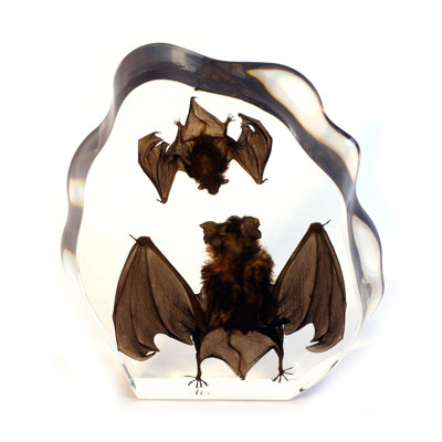 Radel Animals Figurines & Sculptures