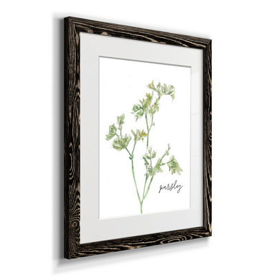 " Fresh Sprig Parsley " Painting Print