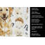 Serviette de cuisine jaune Labrador Retriever-1234934633