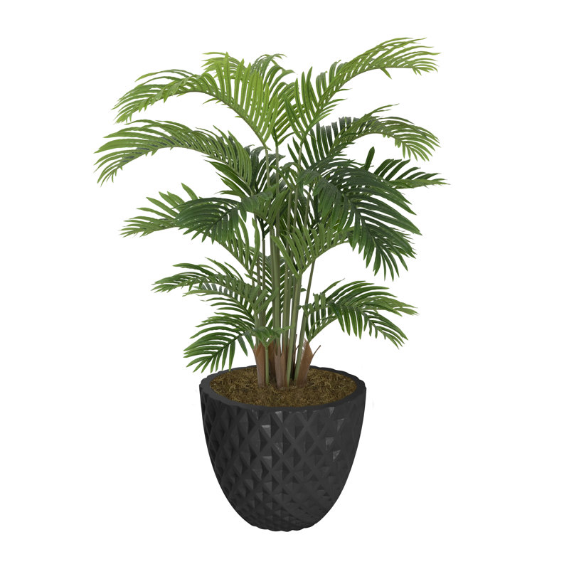 Palmier 53,6 "en pot