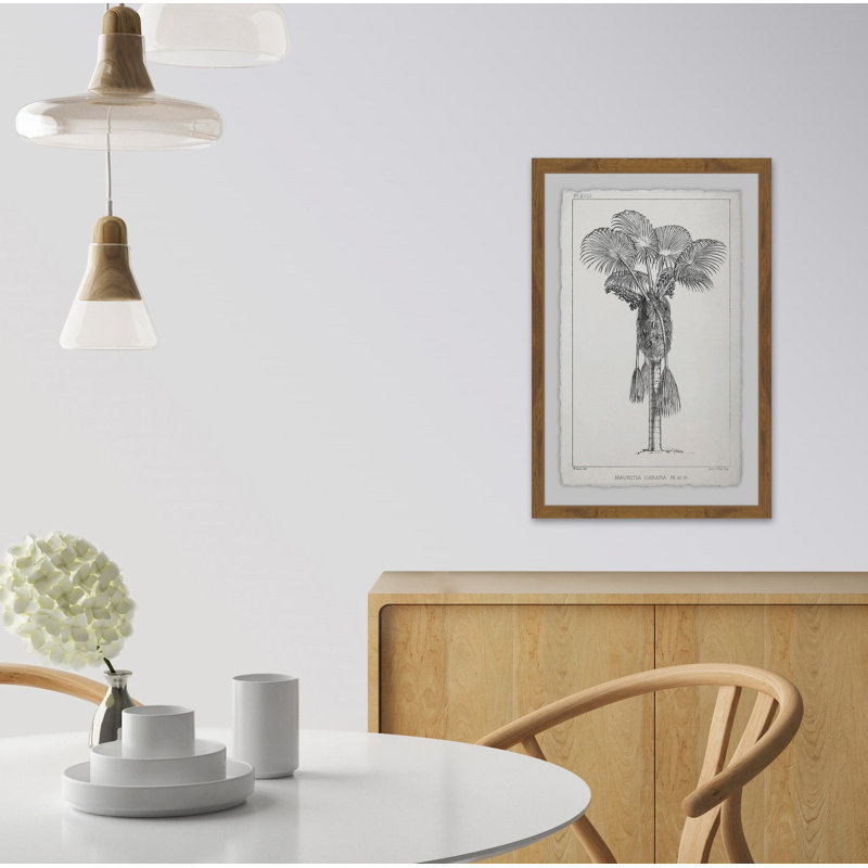 Palm Livistona - Single Picture Frame Print, 91 cm H x 61 cm W