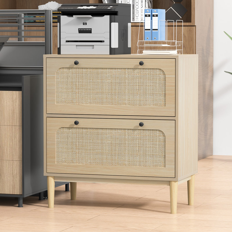 Cassiday 30'' Wide 2 -drawer File Cabinet With Adjustable Hanging Bar, Oak