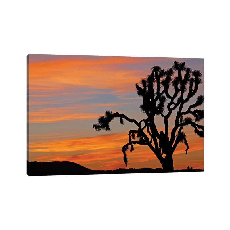 Joshua Tree Sunrise by Brian Wolf - Wrapped Canvas Print, 20.32cm H x 30.48cm W x 1.91cm D