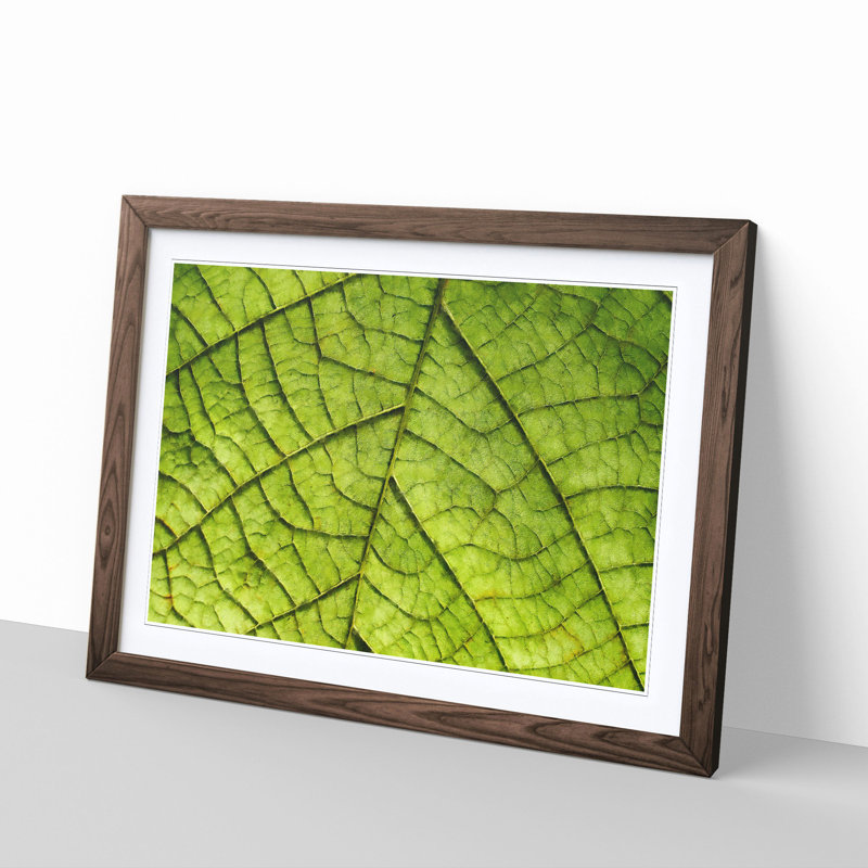 Leaf Roads - Picture Frame Graphic Art Print, 33cm H x 45cm W x 2cm D, Walnut Framed