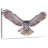Owl Power-107703802