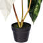 Plante artificielle en pot Alocasia Sanderiana de 26 po x 15 po Primrue