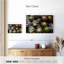 Artichauts mauves Yarlin-111833747