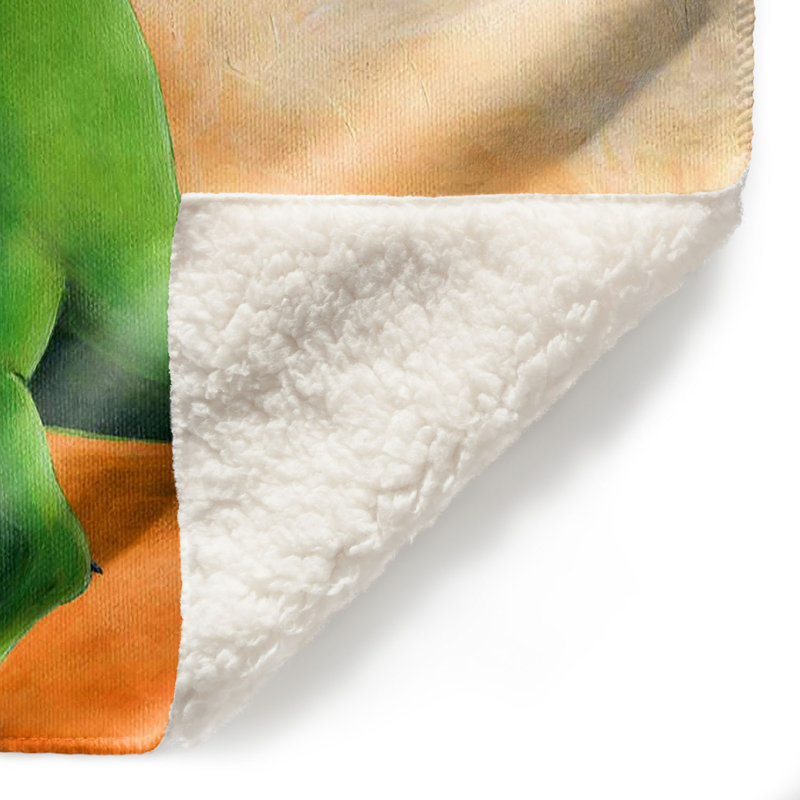 Couverture sherpa strum dinosaur doux, l 51 po x L 60 po