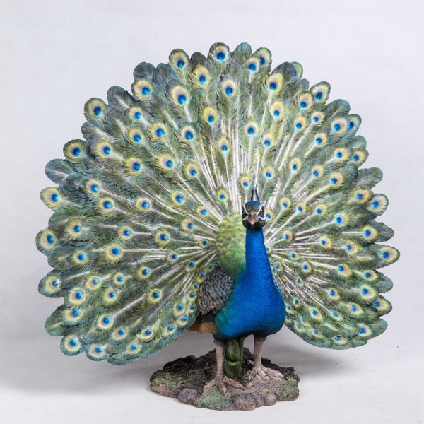 Purchase Wholesale peacock park. Free Returns & Net 60 Terms on Faire