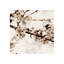 Sakura I Print by Sofia Fox-26946941-26946942