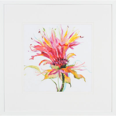 Sheer Beauty II Print by Jardine