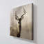 "Young Buck" par Nan, reproduction sur toile-1533014664