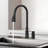 Kitchen Sink Faucet