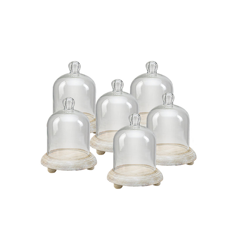 Terrarium d'intérieur, H 7,5 po x l 6 po x P 6 po