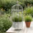Rustic Vintage Birdcage Planter Plant Stand Farmhouse Distressed Decorative Metal Round Plants Holder Flower Pot with Latch Lock Closure for Garden Patio Yard Home Outdoor Balconies Decor
