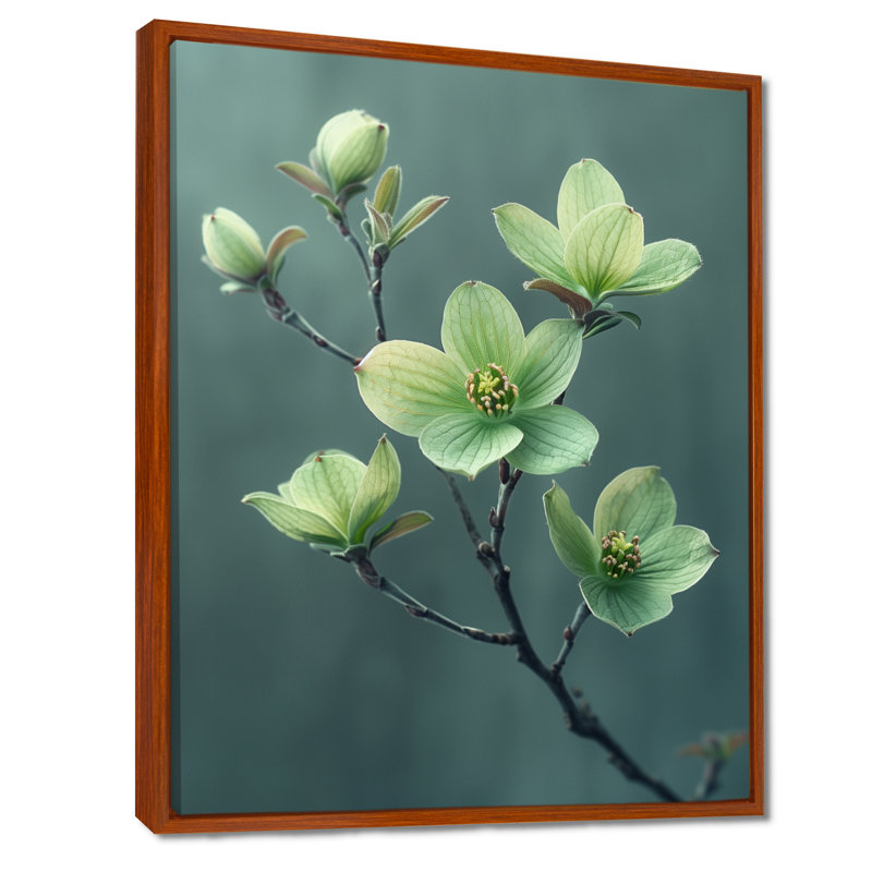 Photo hivernale de cornouiller monochrome vert gris - Cornouiller, Toile avec cadre flottant brun, H 20 po x l 12 po x P 1 po
