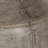 Nellcote 50 " Novelty Floor Lamp