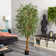 Faux Bamboo Tree in Pot