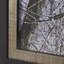 «Branchscape Moss - Reflect» par Mikael Saîtson, reproduction d'art encadrée sous verre