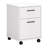 Siena 16'' Wide 2 -Drawer Mobile File Cabinet-1535169110