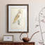 Barn Owl Premium encadré mat - prêt à accrocher-1890251788-1890251826